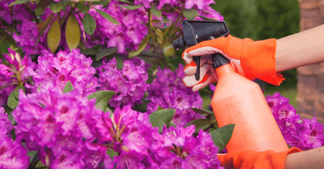 The Danger of Yard Chemicals and How to Live Without Them